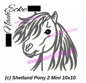 Shetland Pony 2