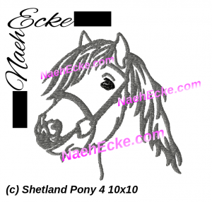 Shetland Pony 4