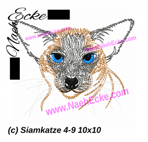 Siamkatze 4-9