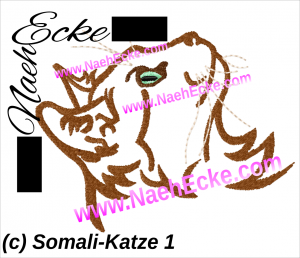 Somali-Katze