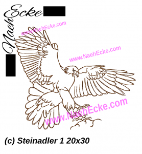 Steinadler 1