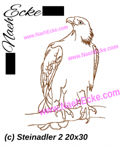 Steinadler 2
