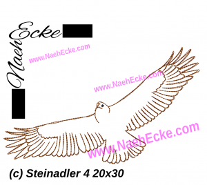 Steinadler 4