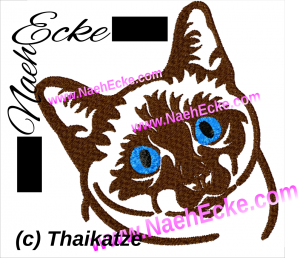 Thaikatze 1