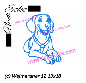 Weimaraner 12