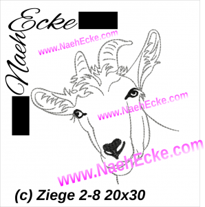 Ziege 02-8