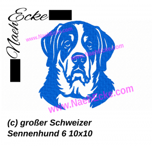 Großer Schweizer Sennenhund 6
