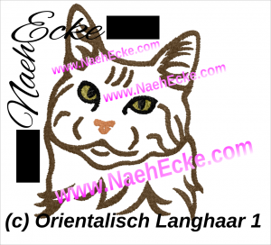 Orientalisch Langhaar
