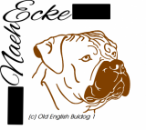 Old English Bulldog 1