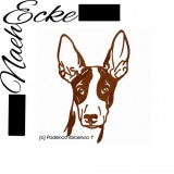 Podenco Ibicenco