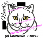 Embroidery File Cat C