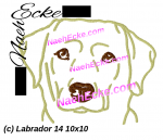Labrador 14