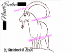 Steinbock 08