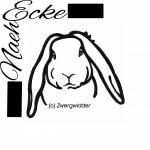 dwarf lop-eared rabbit