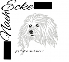 Embroidery Coton de Tulear 1 10x10 <br />