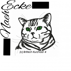 Stickdatei Britisch Kurzhaar 4 10x10 <br />