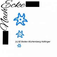 Stickdatei Brandzeichen Baden-Württemberg Haflinger 10x10 