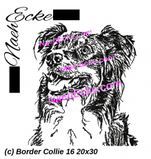 Stickdatei Border Collie 16 20x30 / 20x28 / 20x20 / 18x30