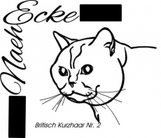 embroidery British Shorthair 2 4x4" 