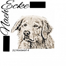 Stickdatei Hovawart Nr. 4 13x18 PHOTOstitch <br />