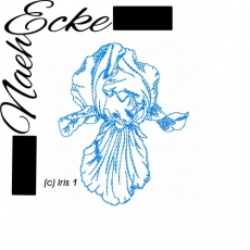 Stickdatei Iris 1 Doodle 13x18 <br />