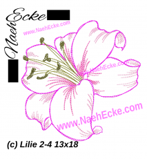 Embroidery Lily 2-4 5x7