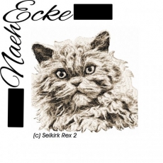 Stickdatei Selkirk Rex 2 13x18 PHOTOSTITCH <br />