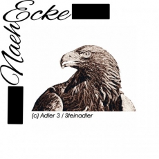 Stickdatei Adlerkopf 3 Steinadler 13x18 PHOTOstitch <br />