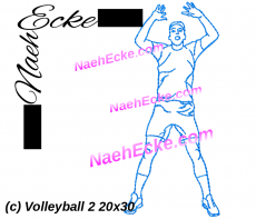 Embroidery Volleyball 3 11.81 x 7.87