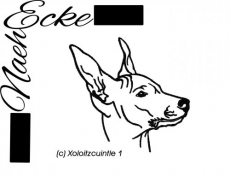 Stickdatei Xoloitzcuintle 1 13x18 