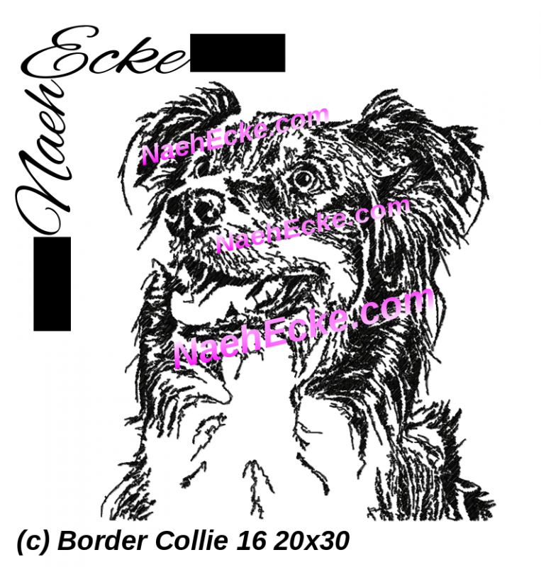 Stickdatei Border Collie 16 20x30 / 20x28 / 20x20 / 18x30