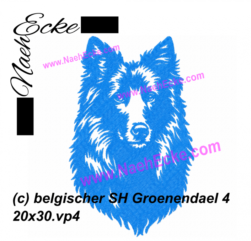 Belgischer Schäferhund Groenendael 4 20x30 / 20x28 / 14x20 / 16x26