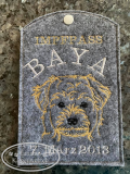 Embroidery Maltipoo 4x4