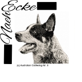 Stickdatei Australian Cattledog 5 13x18 PHOTOstitch