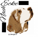 Embroidery Beagle 5 13x18 PHOTOstitch 