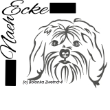 Embroidery Bolonka Zwetna 4 20x30 