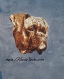 Embroidery Boxer 9 10x10 PHOTOstitch 