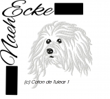 Embroidery Coton de Tulear 1 10x10 