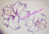 Embroidery Lily 2-4 4x4