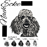 Stickdatei Pudel Nr. 5 13x18 PHOTOstitch 