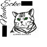 embroidery British Shorthair 4 5x7" 