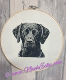 Embroidery Labrador 2 PHOTOstitch 5x7" 