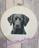 Stickdatei Labrador Nr. 2 PHOTOstitch 13x18