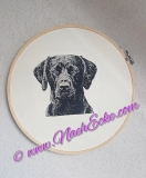 Embroidery Labrador 2 PHOTOstitch 5x7" 