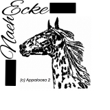 Stickdatei Appaloosa 2 13x18