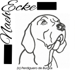 Embroidery Perdiguero de Burgos 4x4