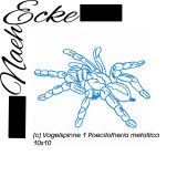 embroidery tarantula 1-2 Poecilotheria metallica 4x4