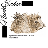 Stickdatei Meerschweinchen 2 20x30 Photostitch