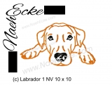 Stickdatei Labrador Nr. 1 10x10