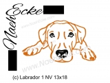 Embroidery Labrador Nr. 1 5x7